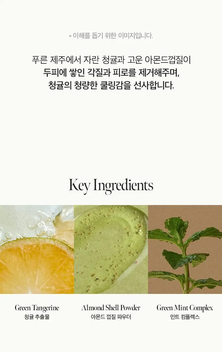 [지성두피/딥클렌징] 아닐로 라임썬데이 리프레시 스크럽 샴푸 450ml (쿨링&정수리 냄새 케어) 상세페이지 6